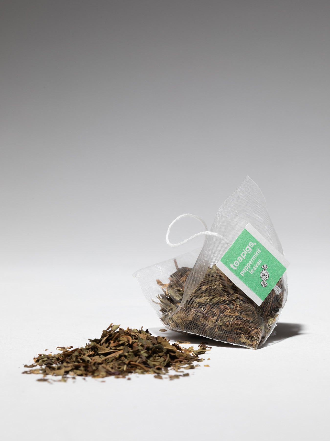 teapigs peppermint leaves Teebeutel